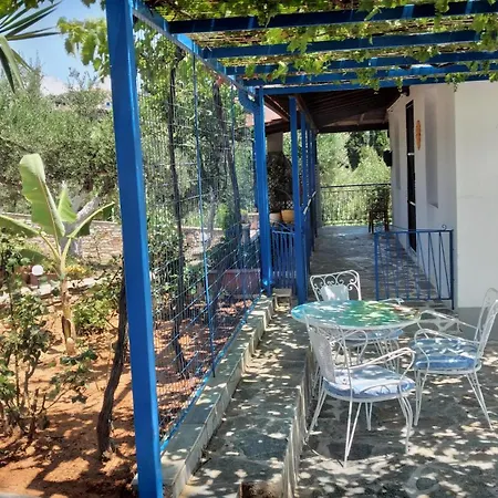 Margarita House *