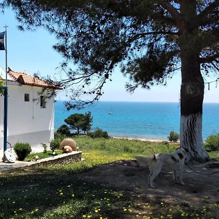 Holiday home Margarita House