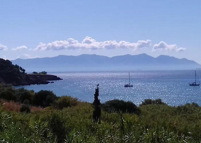 Casa de Férias Margarita House