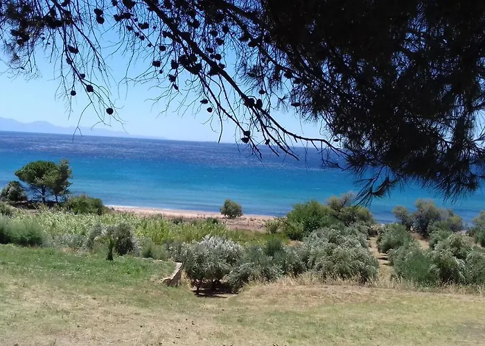 Casa de Férias Margarita House