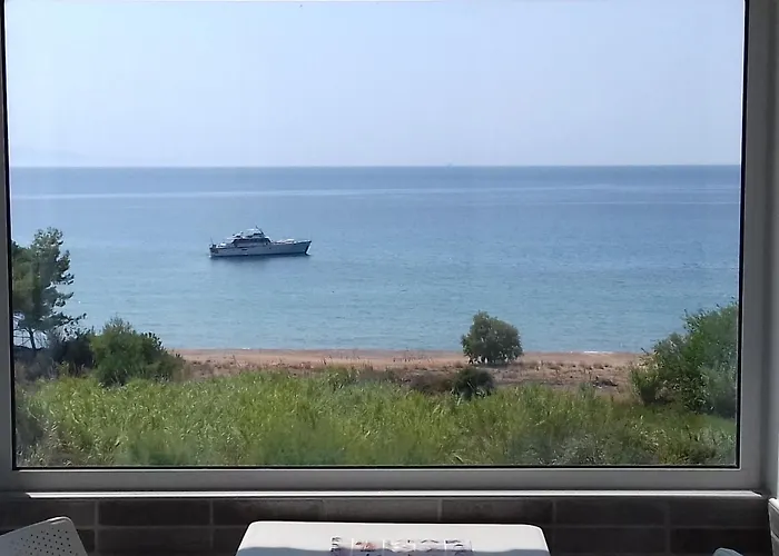 Casa de Férias Margarita House *