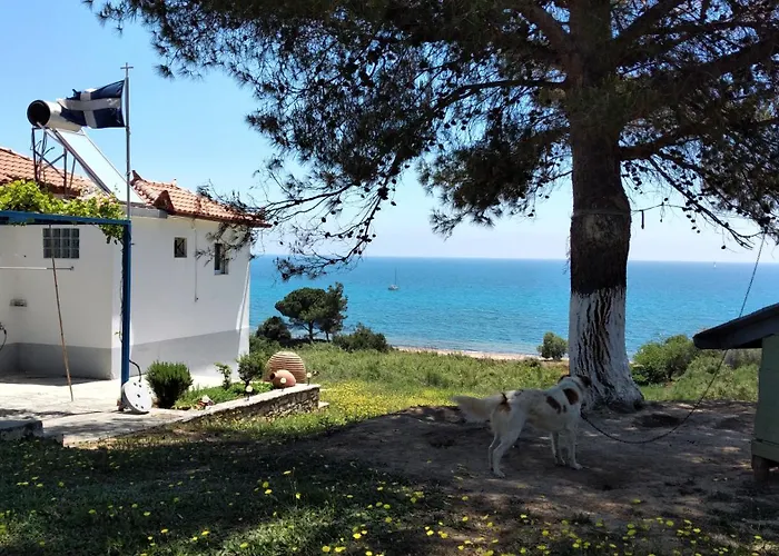 Casa de Férias Margarita House